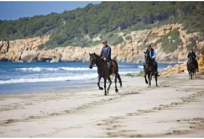 Сельский отель Rural Binigaus Vell