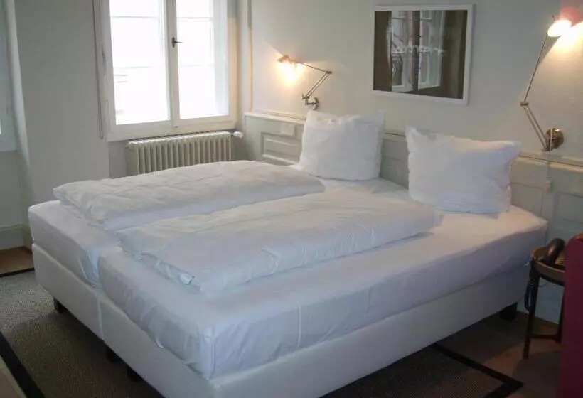 فندق Schnookeloch