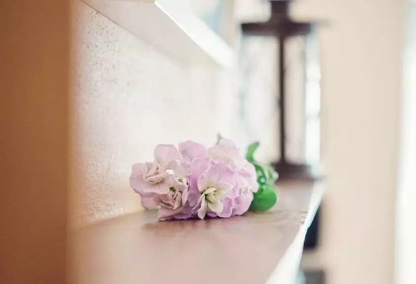 Padstow Breaks   Duke House