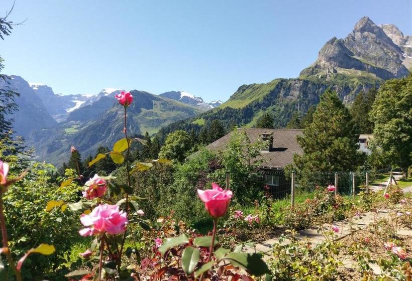 Adrenalin Backpackers Hostel