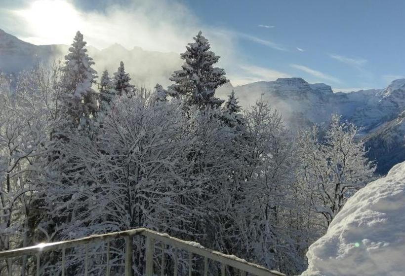 Adrenalin Backpackers Hostel