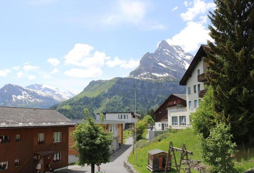 Adrenalin Backpackers Hostel