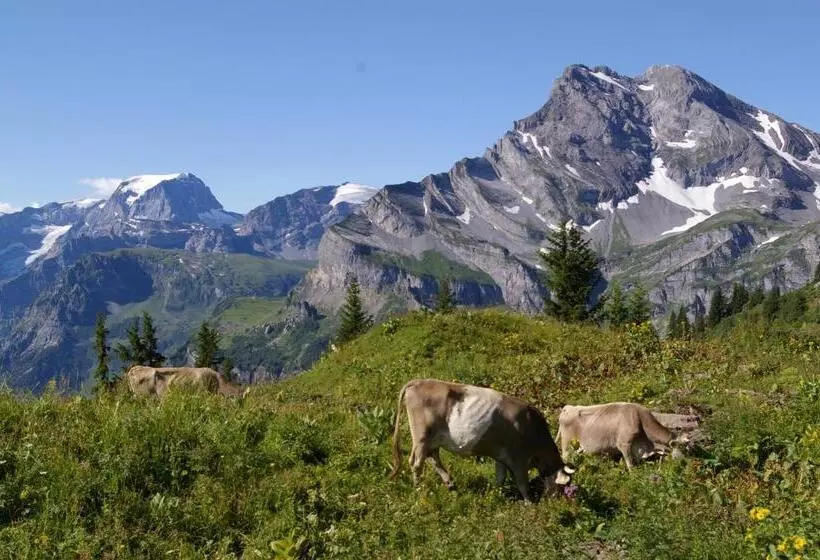 Adrenalin Backpackers Hostel