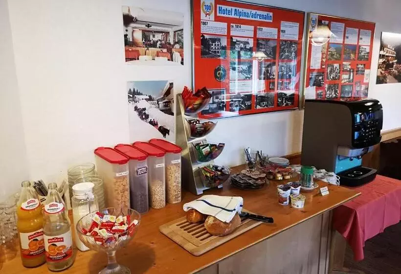 Adrenalin Backpackers Hostel