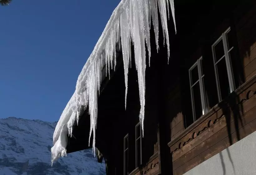 Grindelwald Youth Hostel