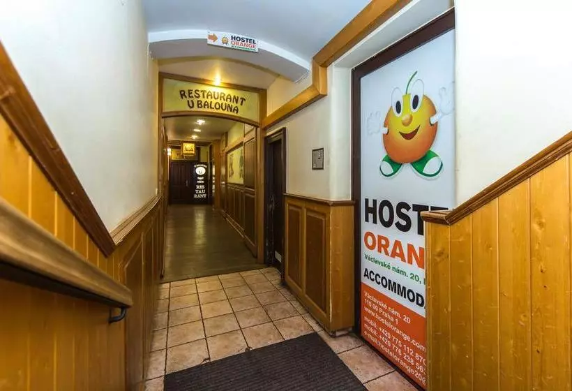 Hostel Orange