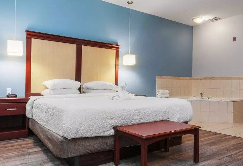 호텔 Signature Inn & Suites Hamilton