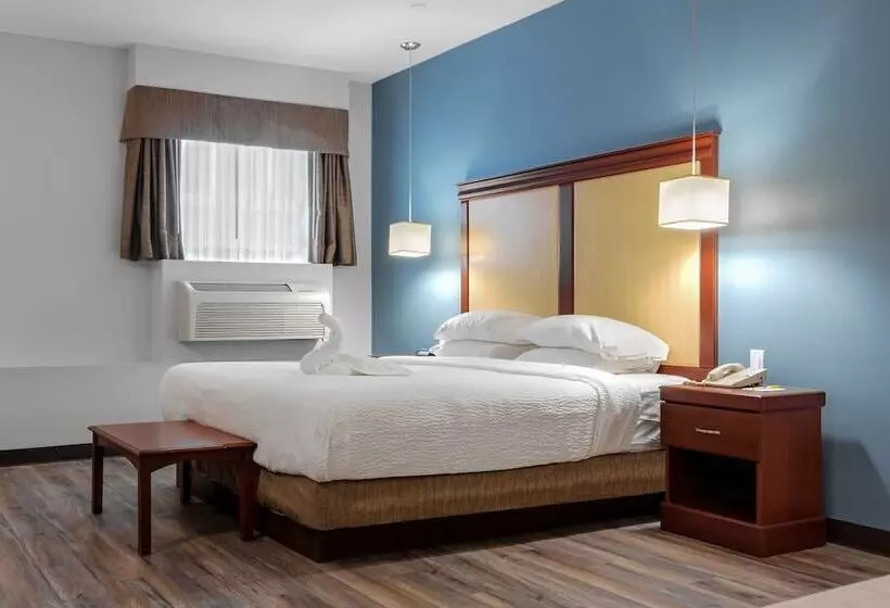 호텔 Signature Inn & Suites Hamilton