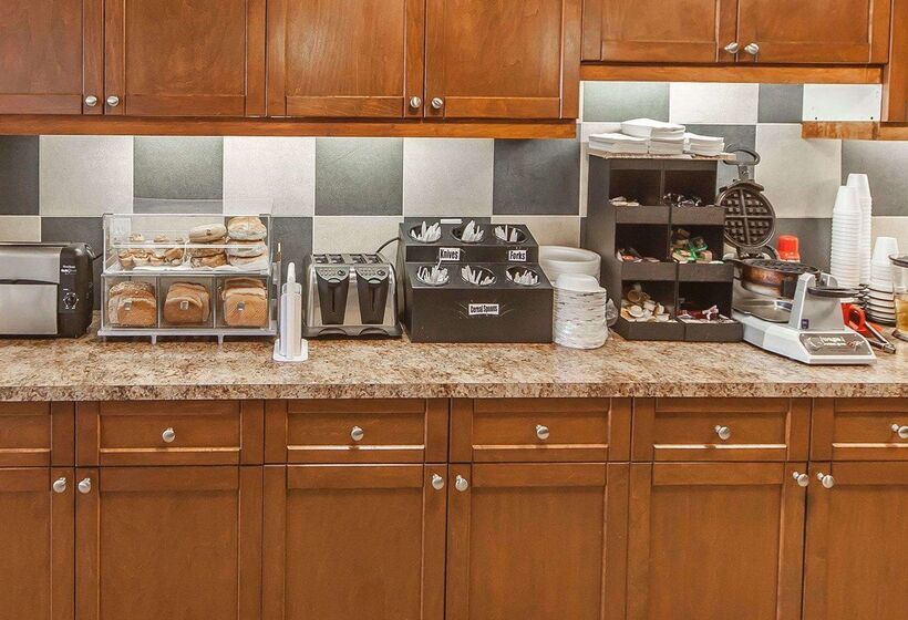 Отель Econo Lodge Inn & Suites Drumheller