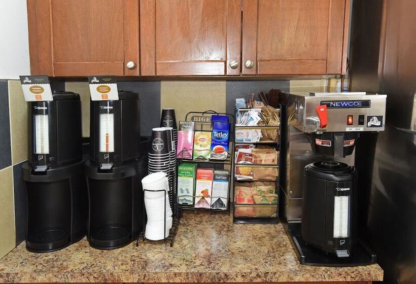 Отель Econo Lodge Inn & Suites Drumheller