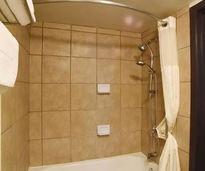 Отель Econo Lodge Inn & Suites Drumheller