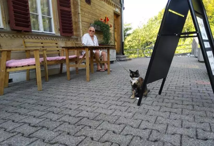 酒店 Gasthof Schoenegg B&b