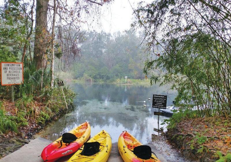 Hotel Holiday Inn Express & Suites Spring Hill, An Ihg