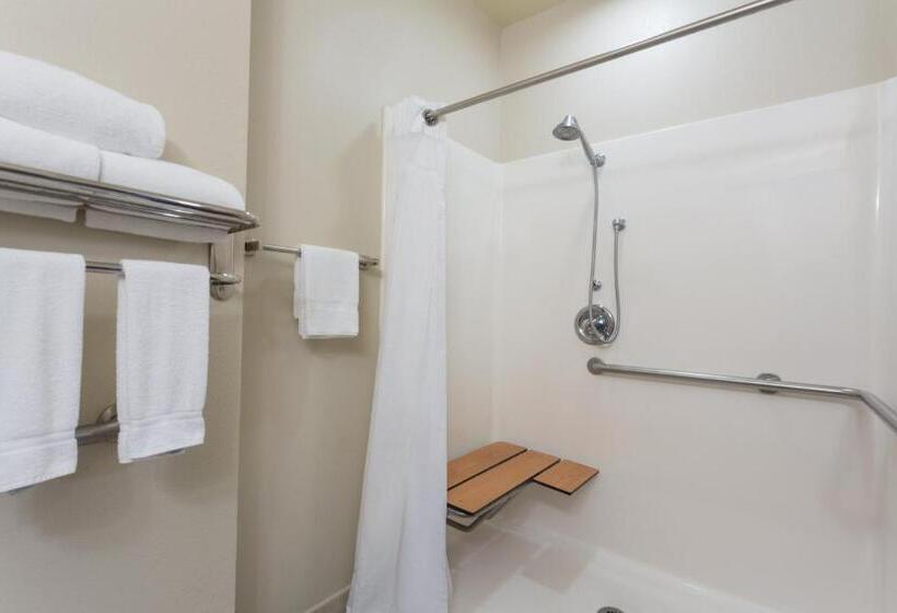 酒店 Holiday Inn Express Harvey Marrero, An Ihg