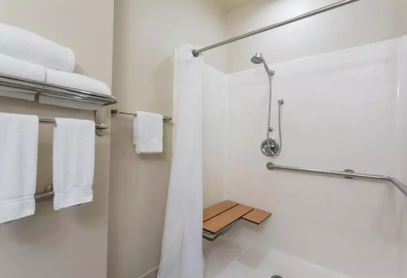 酒店 Holiday Inn Express Harvey Marrero, An Ihg