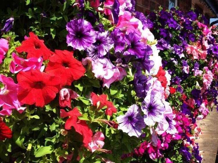 בית מלון כפרי The Waverley