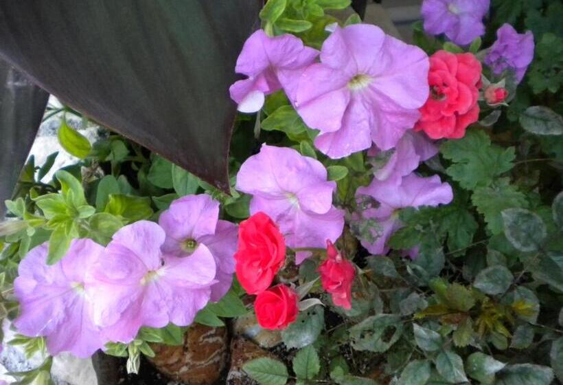 Paradise Lost Hotel Apartments