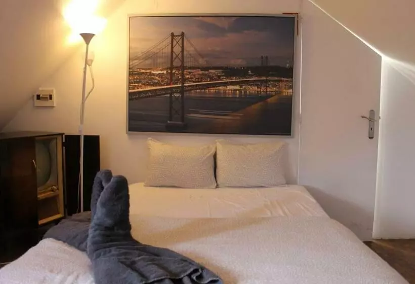 پانسیون Party Zone