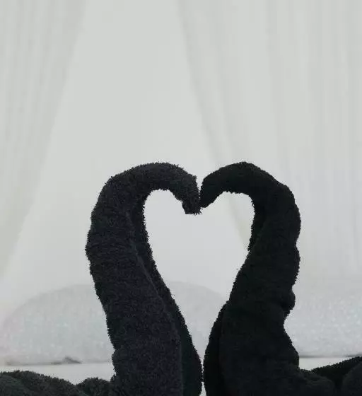 پانسیون Party Zone