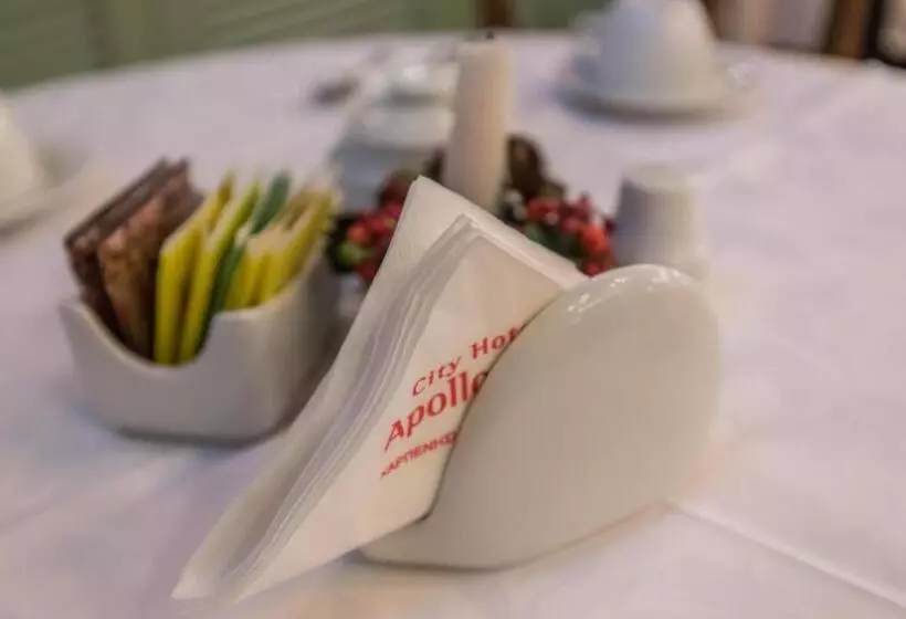 City Hotel Apollonion