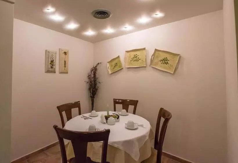 City Hotel Apollonion