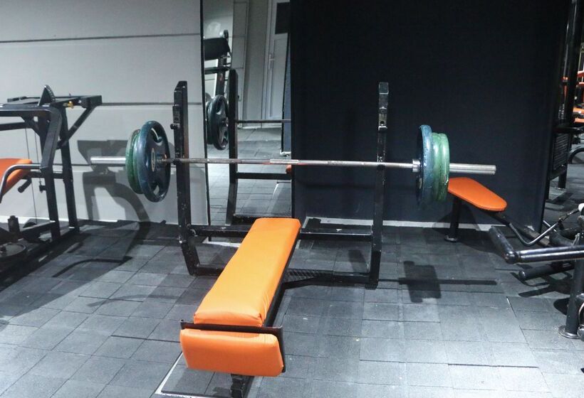 בית מלון כפרי Dynasty