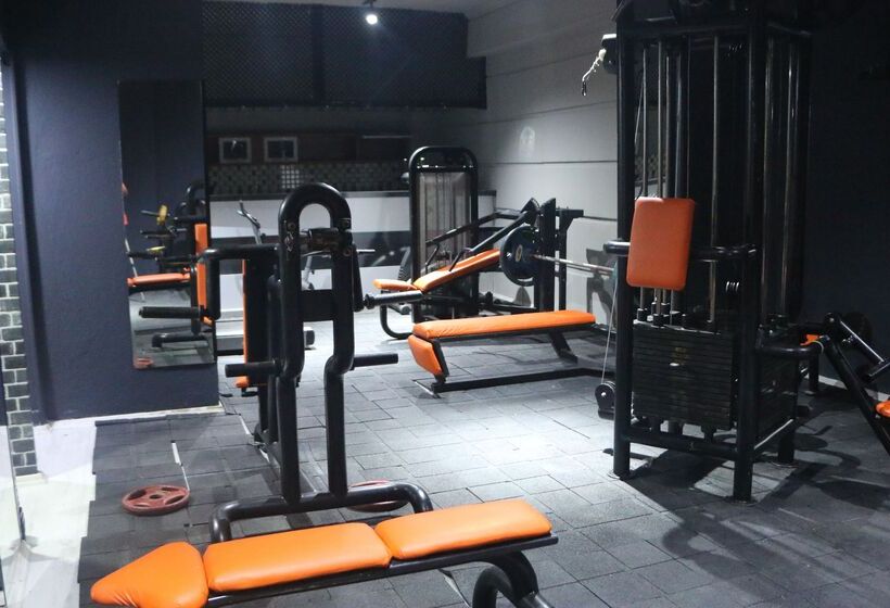 בית מלון כפרי Dynasty