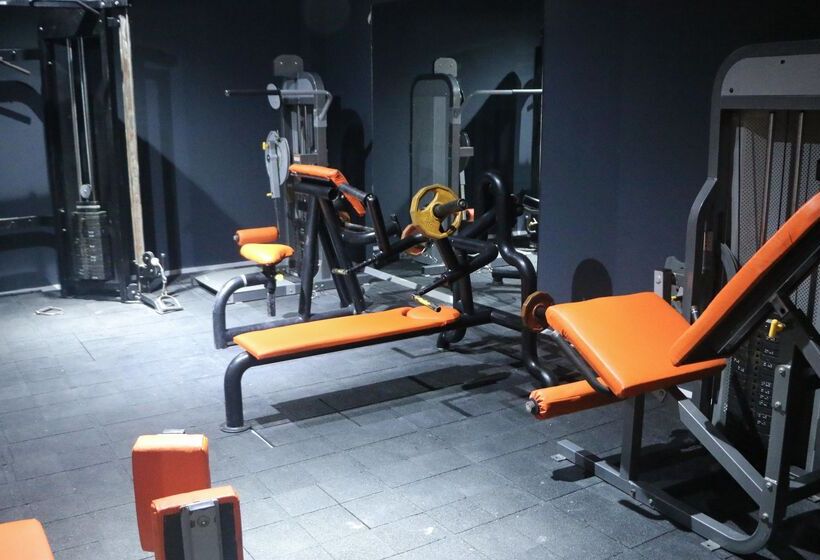 בית מלון כפרי Dynasty