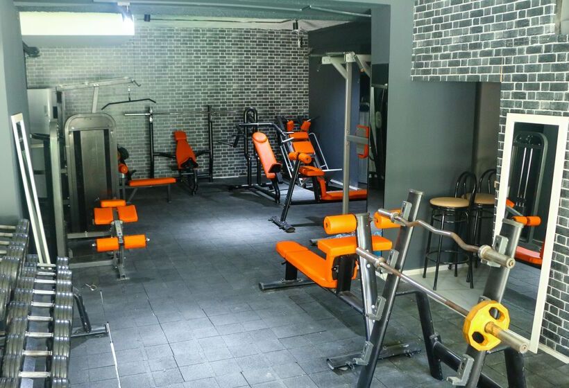 בית מלון כפרי Dynasty