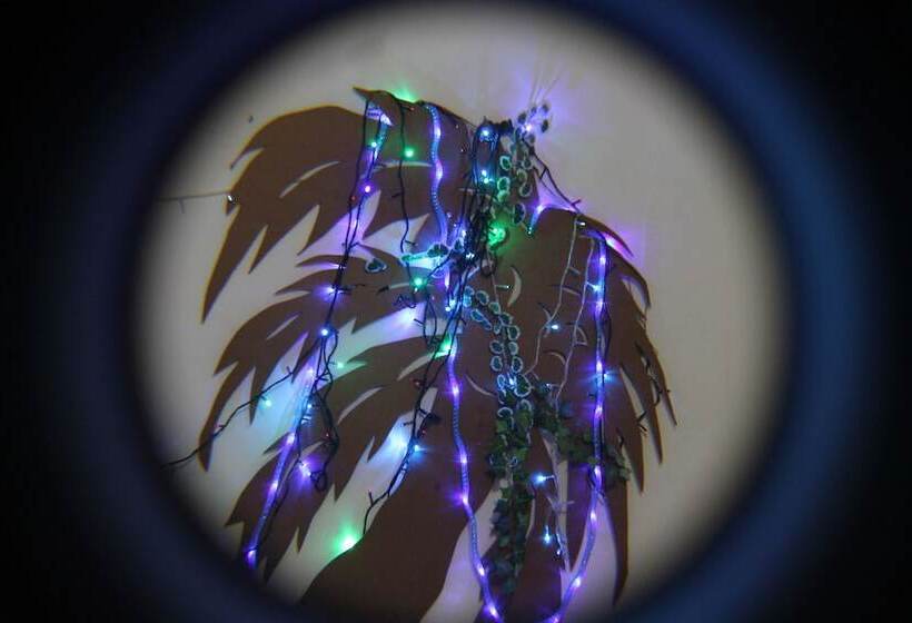 فندق Bachelor Inn