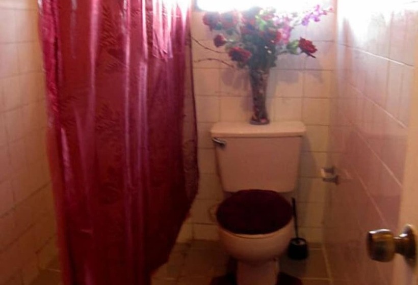 فندق Bachelor Inn