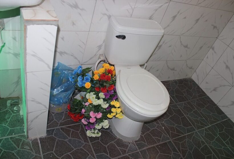 فندق Bachelor Inn