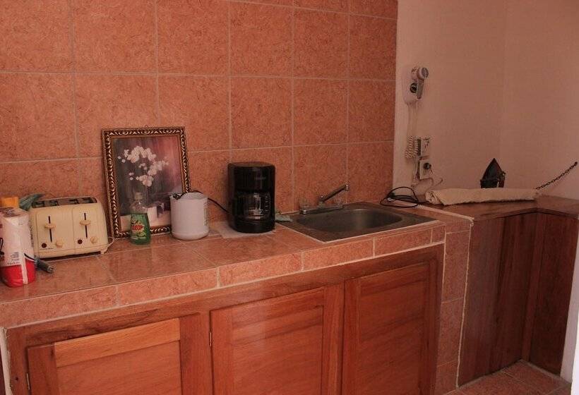 فندق Bachelor Inn