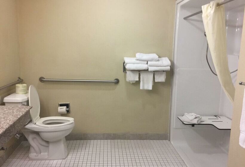 Otel Best Western Plus Burleson Inn & Suites