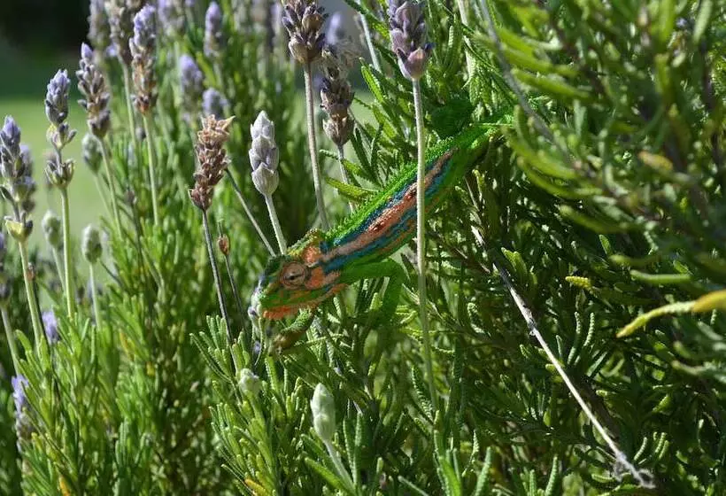 هتل Cultivar Boutique