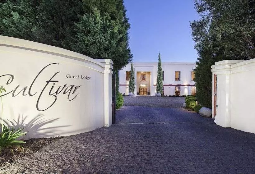 هتل Cultivar Boutique