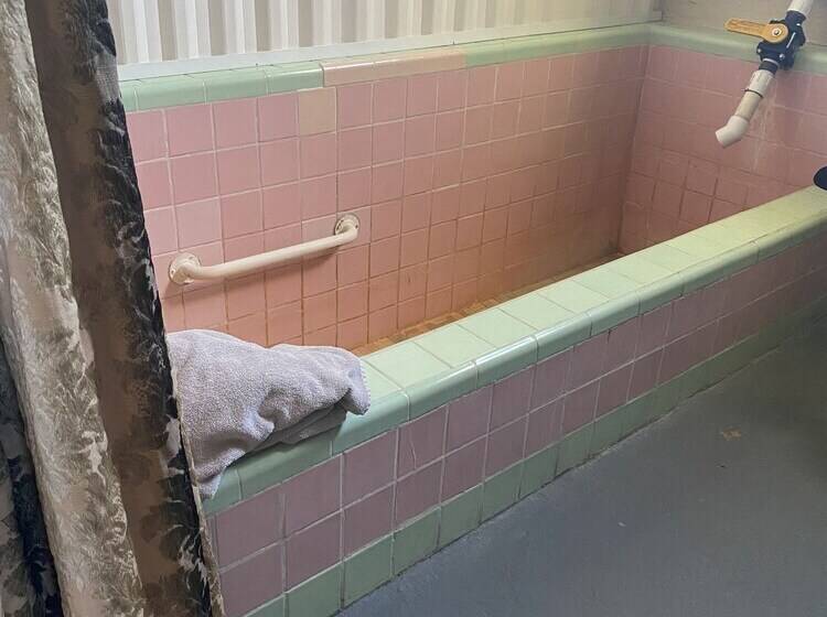 מוטל Charles Hotsprings