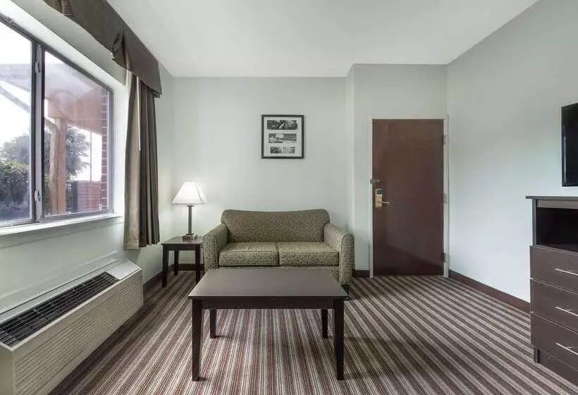 Hotel Days Inn & Suites By Wyndham Dallas