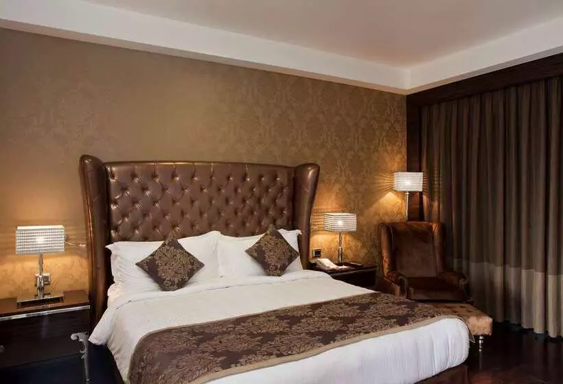 Radisson Blu Hotel New Delhi Paschim Vihar