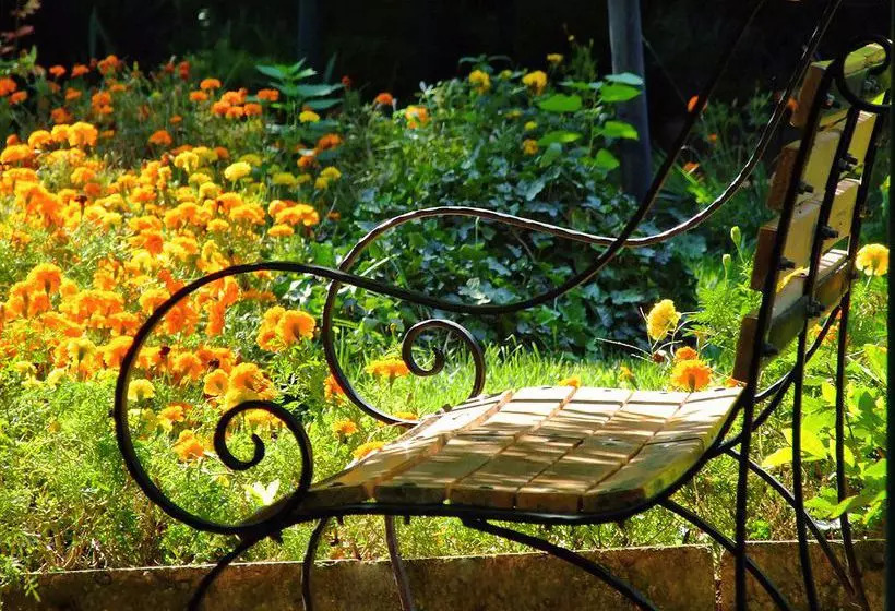 Hotelli Complex Magnolia