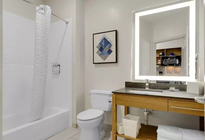 Candlewood Suites San Antonio Downtown, An Ihg