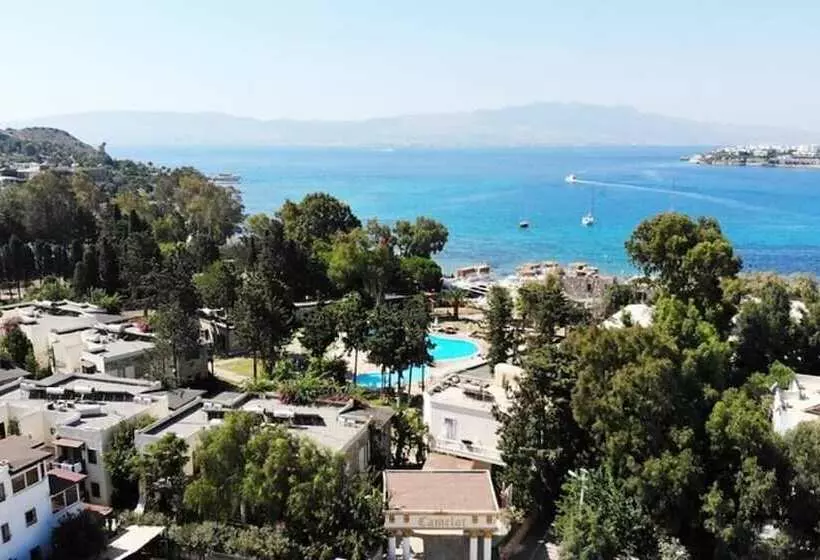 Отель Camelot Boutique