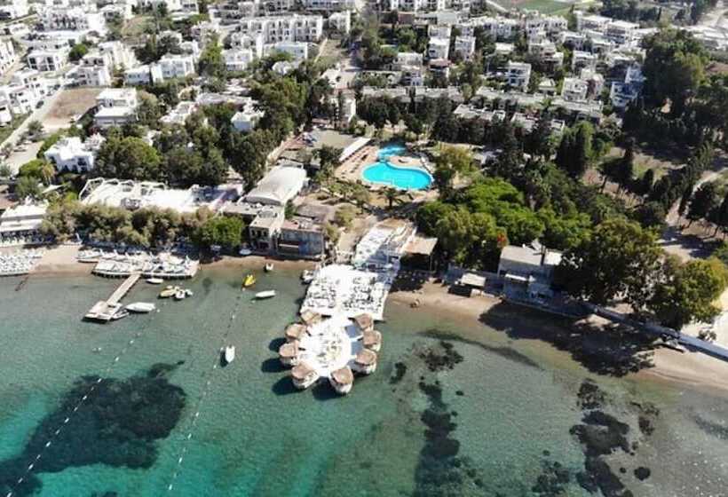 בית מלון כפרי Camelot Boutique