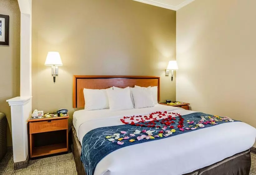 Hotelli Comfort Suites Deer Park Pasadena