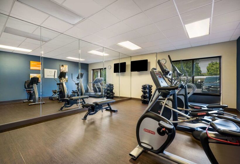 فندق Comfort Suites Northlake