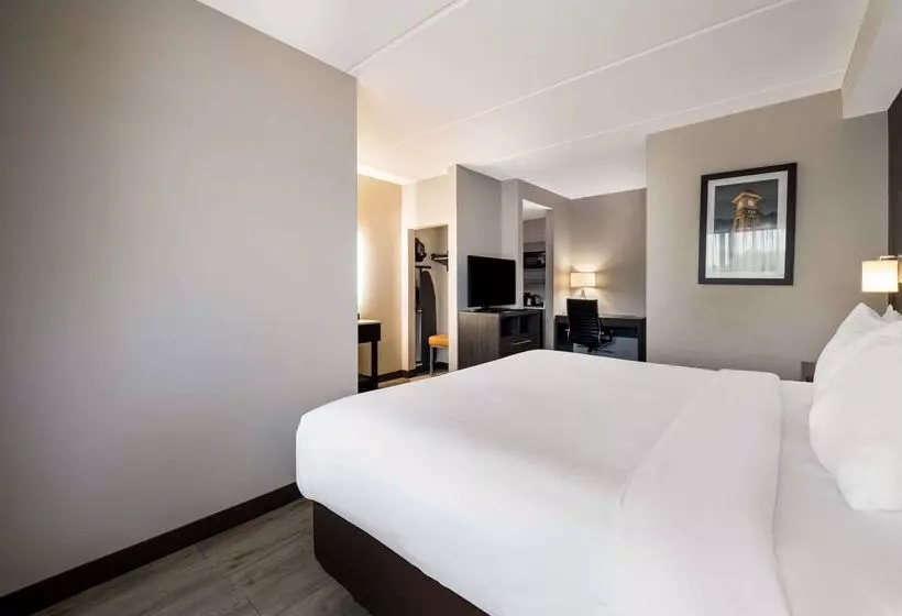 בית מלון כפרי Comfort Suites Northlake