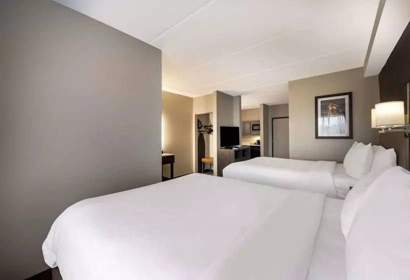 בית מלון כפרי Comfort Suites Northlake