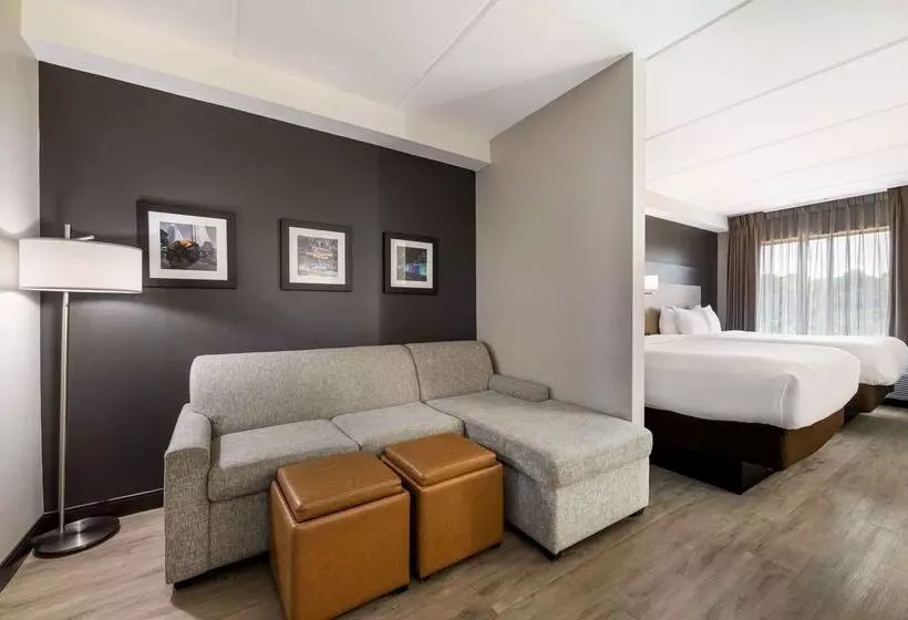 בית מלון כפרי Comfort Suites Northlake