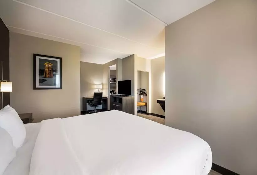 בית מלון כפרי Comfort Suites Northlake