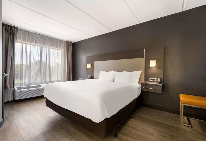 בית מלון כפרי Comfort Suites Northlake